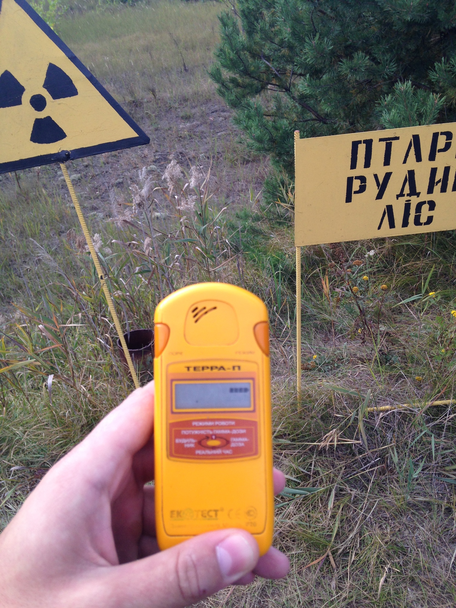 Сколько исчезает радиация. Радиация в Чернобыле. Уровень радиации в Чернобыле. Чернобыль радиация. Радиационный фон в Припяти.