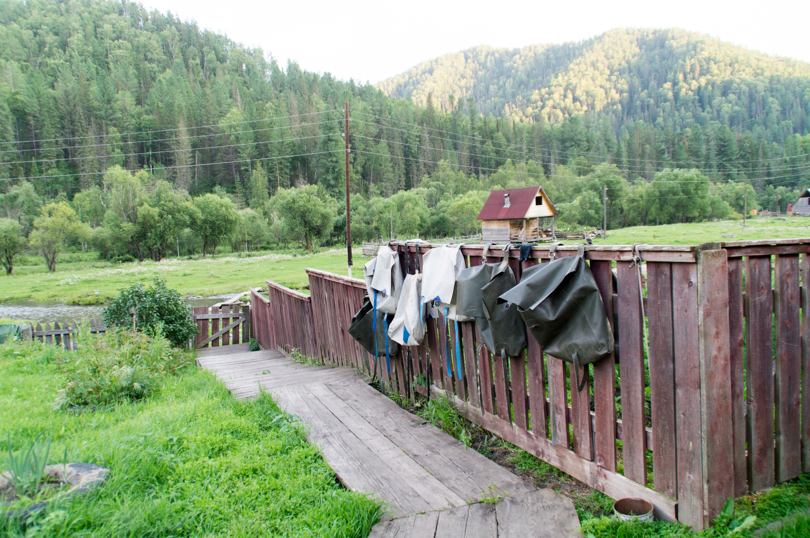 Horseback riding in Altai. - My, Mountain Altai, Horses, Hike, The photo, Longpost, Altai Republic