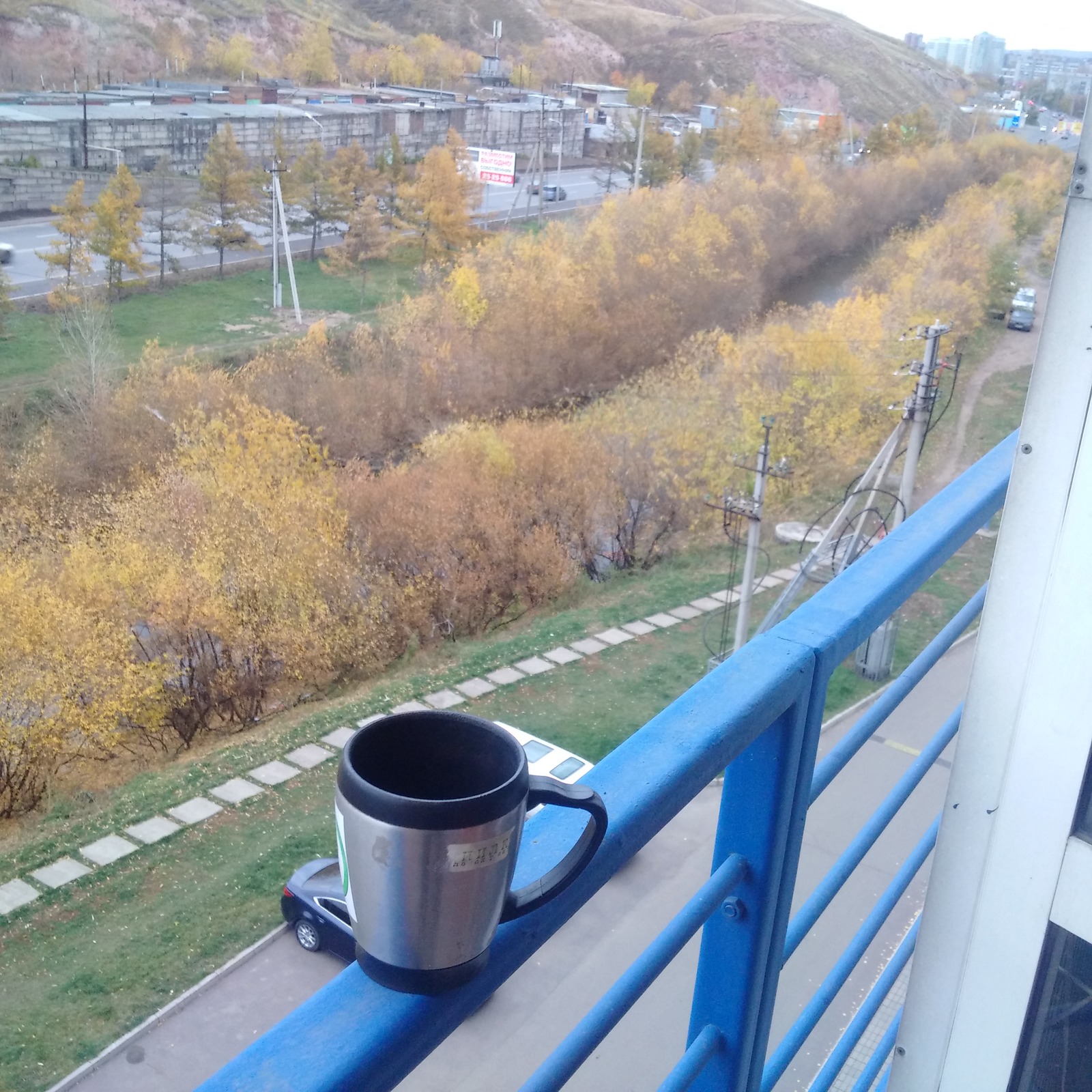 A city of a million - a million trees * - My, Krasnoyarsk, Utility services, Ecology, Tree, Longpost