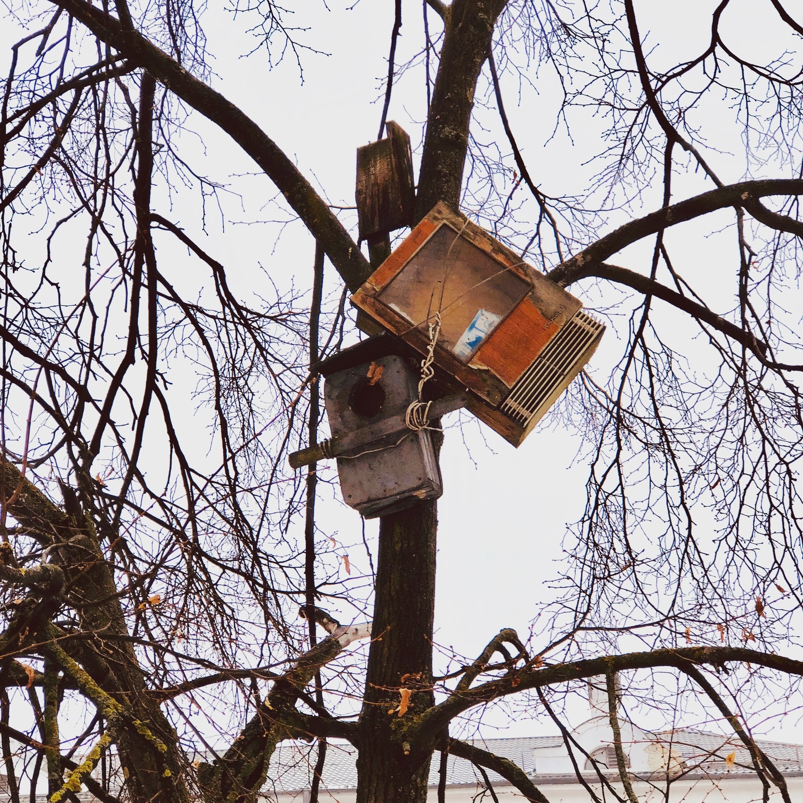 Birdhouse in the center of Brest - come up with a name ;) - My, Brest, Birdhouse, Republic of Belarus