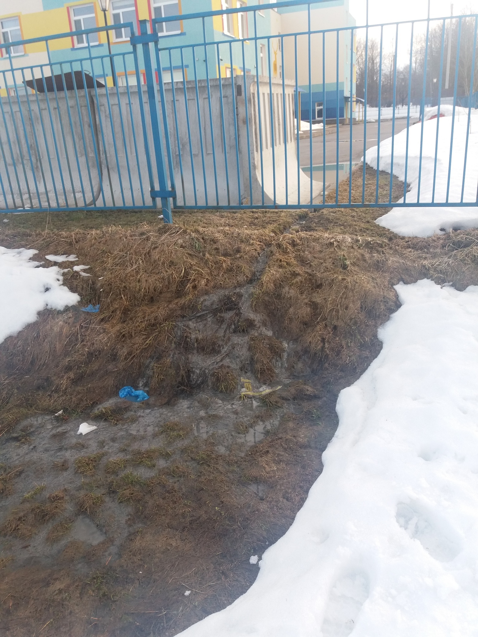 The first victims of the kindergarten - My, Sewerage, Longpost, Ecology, Kindergarten, Leningrad region, ROPSHA, Negative