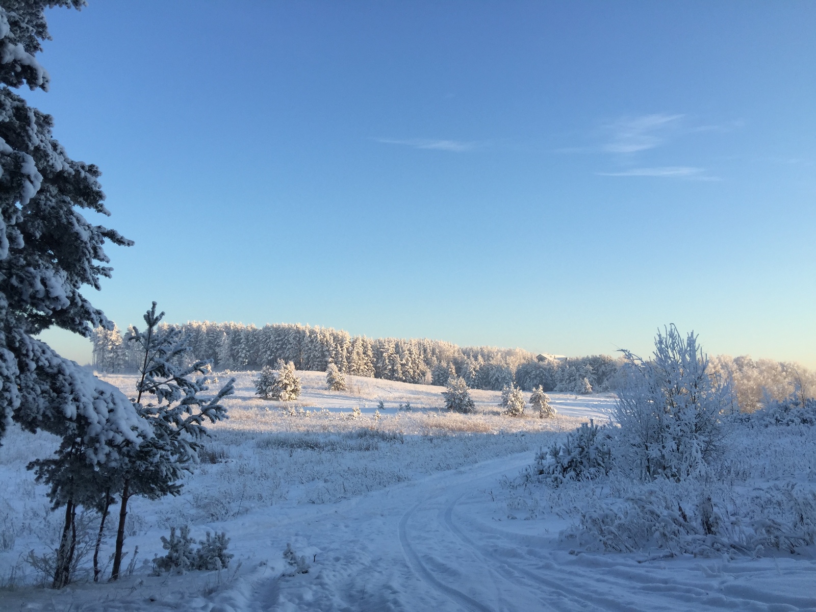 This amazing winter! - The photo, Winter, Longpost, Nature, The park