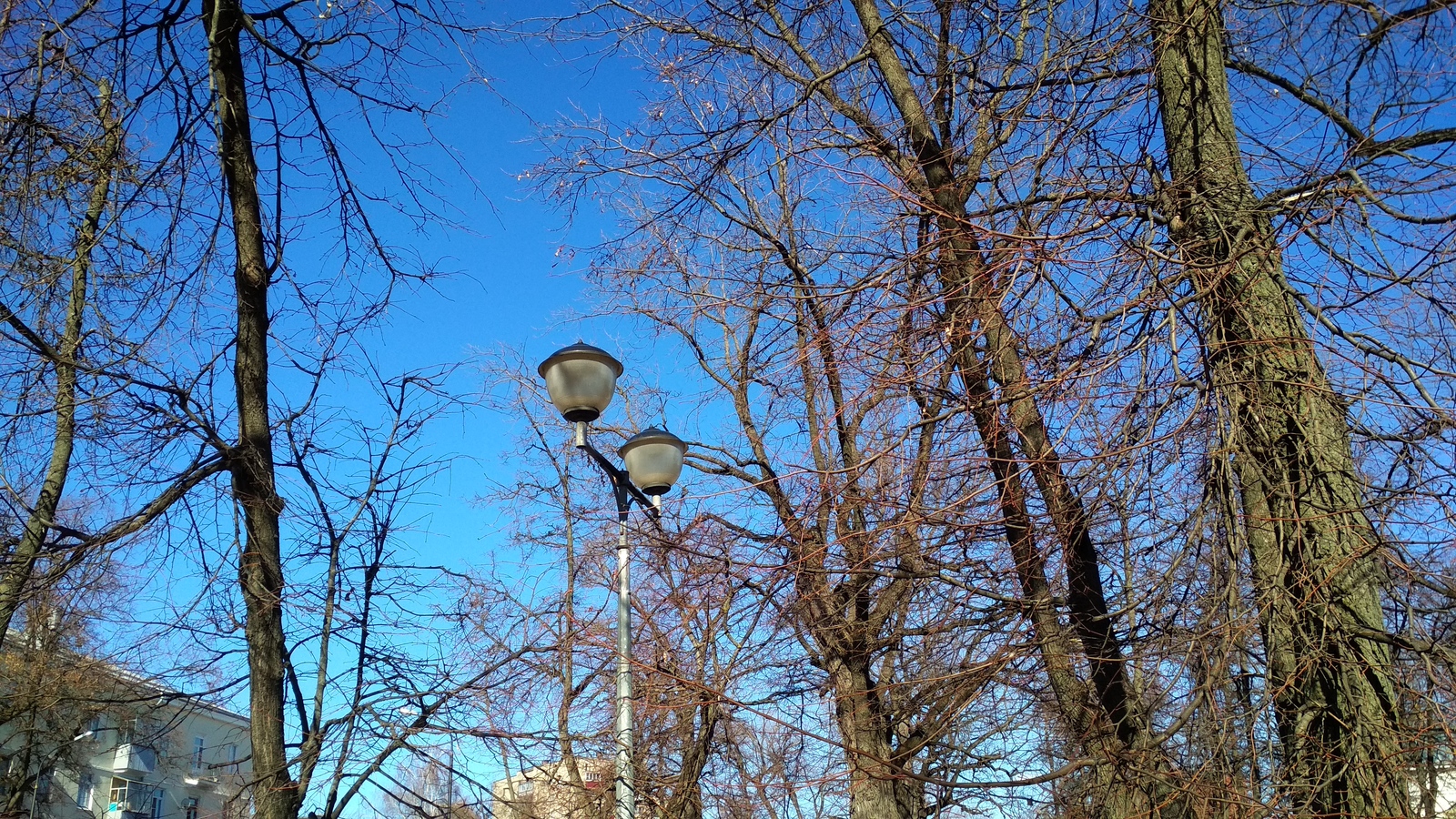 Opening the bike season is more pleasant in such weather - My, Lipetsk, , A bike, Spring, Cruiser, Longpost