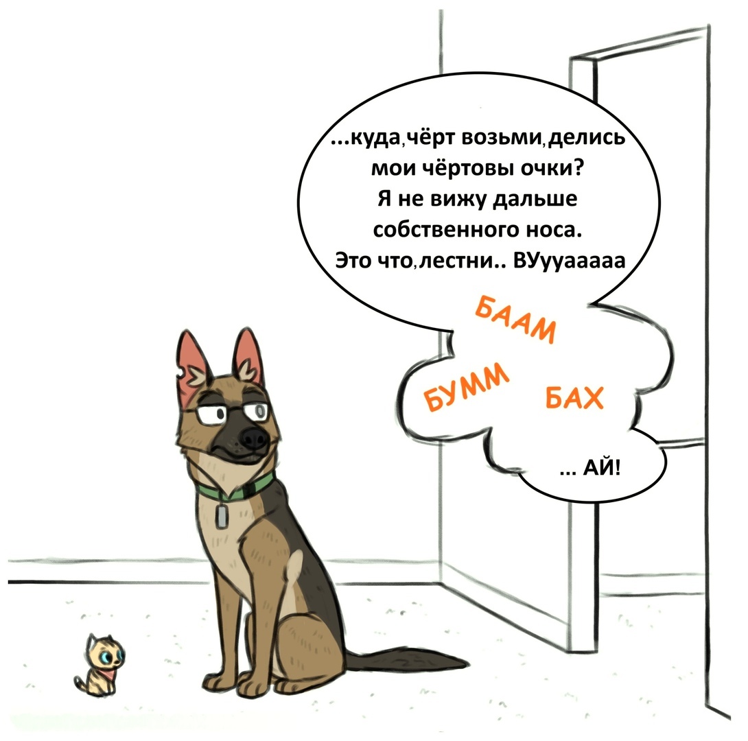 Пикси и очки - Брут и Пикси, Комиксы, Друзья, Кот, Собака, Pet Foolery, Длиннопост