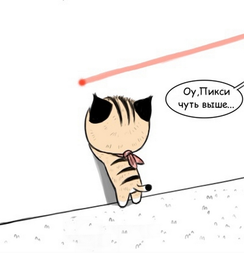 Laser pointer - Pet foolery, Comics, Brutus and Pixie, Longpost, cat, Dog