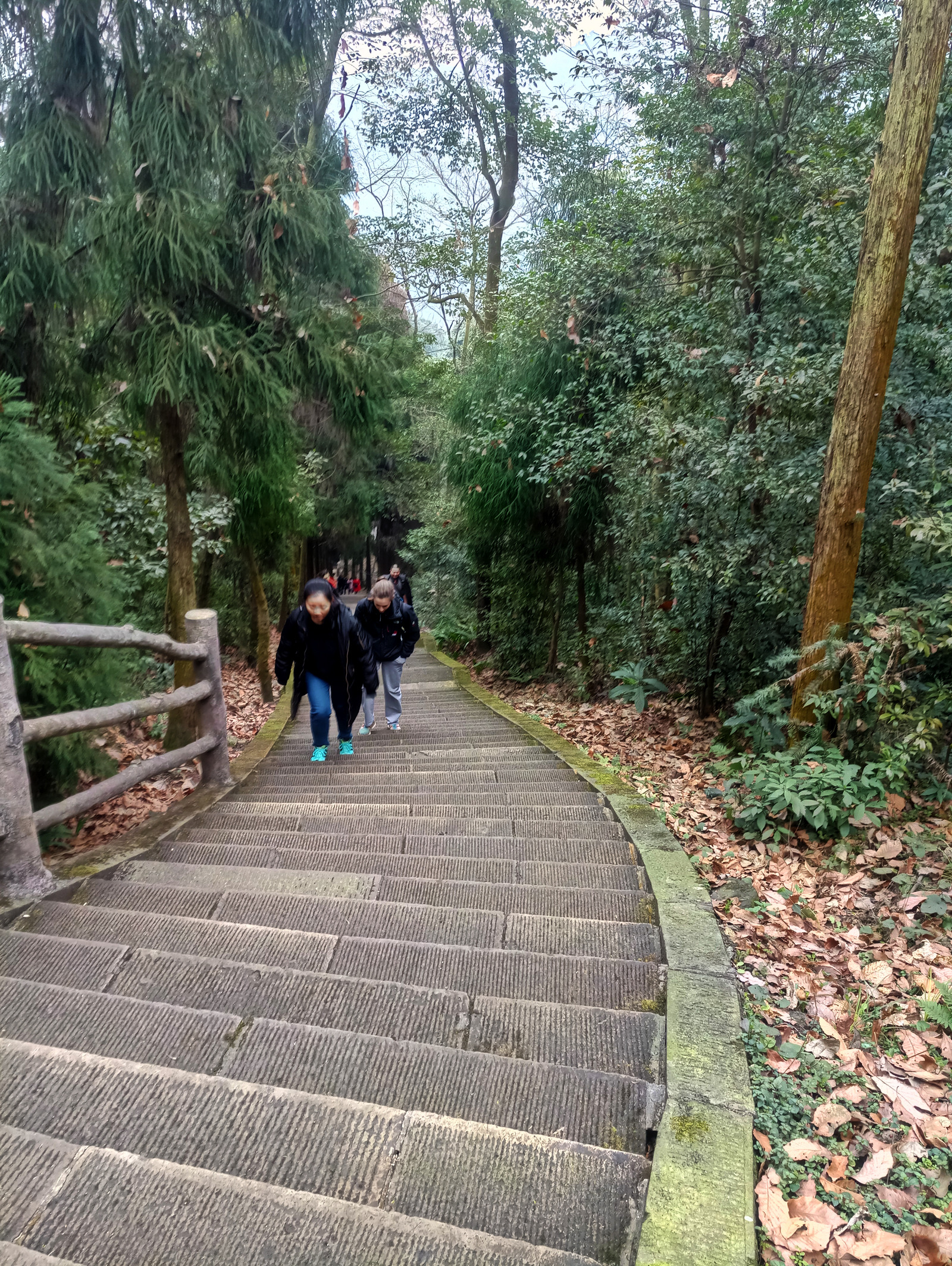 Travel in China. Sacred Mount Emeishan (Part One) - My, China, Travels, Nature, Reserve, Sichuan, UNESCO Heritage Site, Reportage, beauty, Longpost, Reserves and sanctuaries