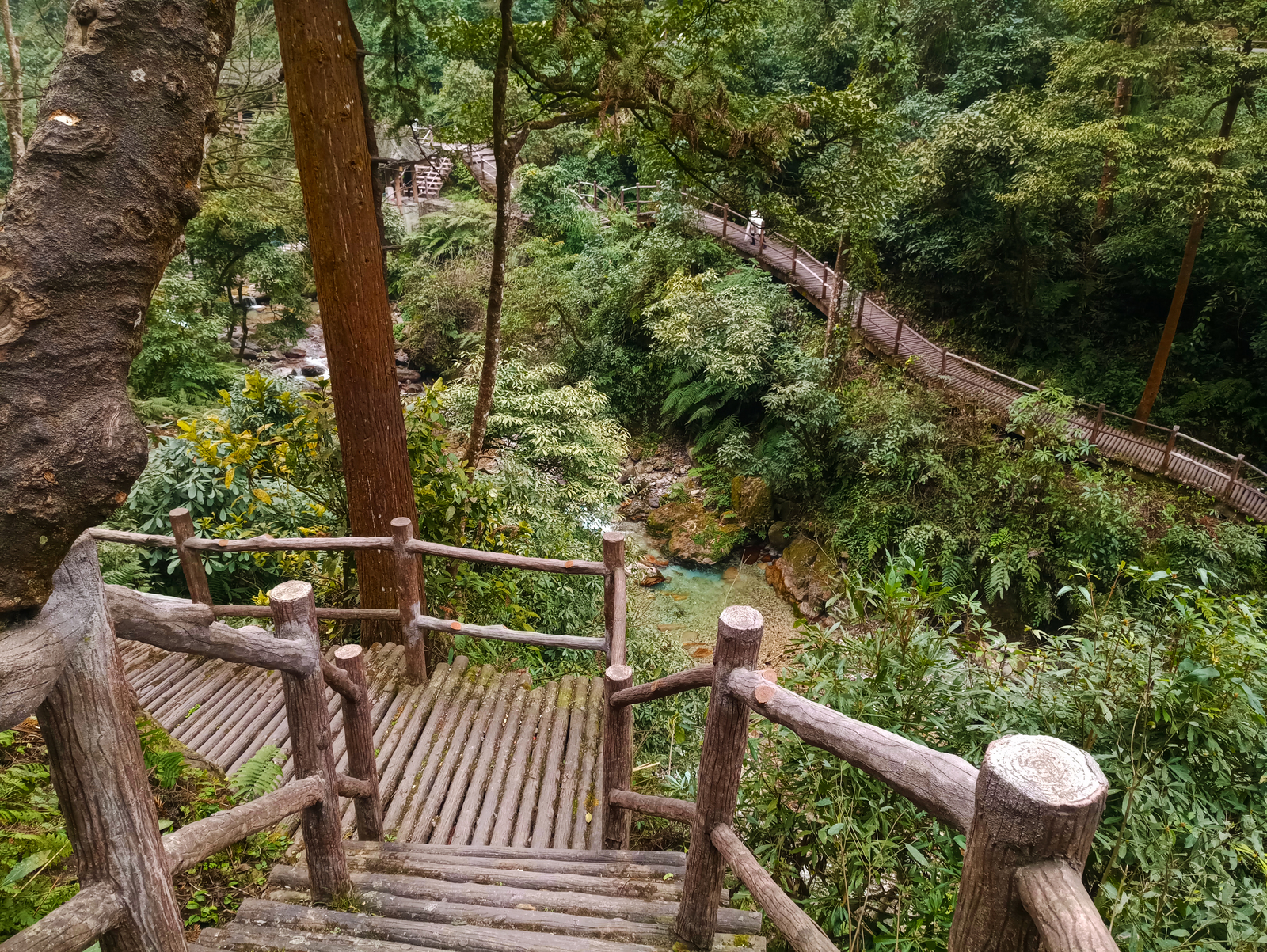 Travel in China. Sacred Mount Emeishan (Part One) - My, China, Travels, Nature, Reserve, Sichuan, UNESCO Heritage Site, Reportage, beauty, Longpost, Reserves and sanctuaries