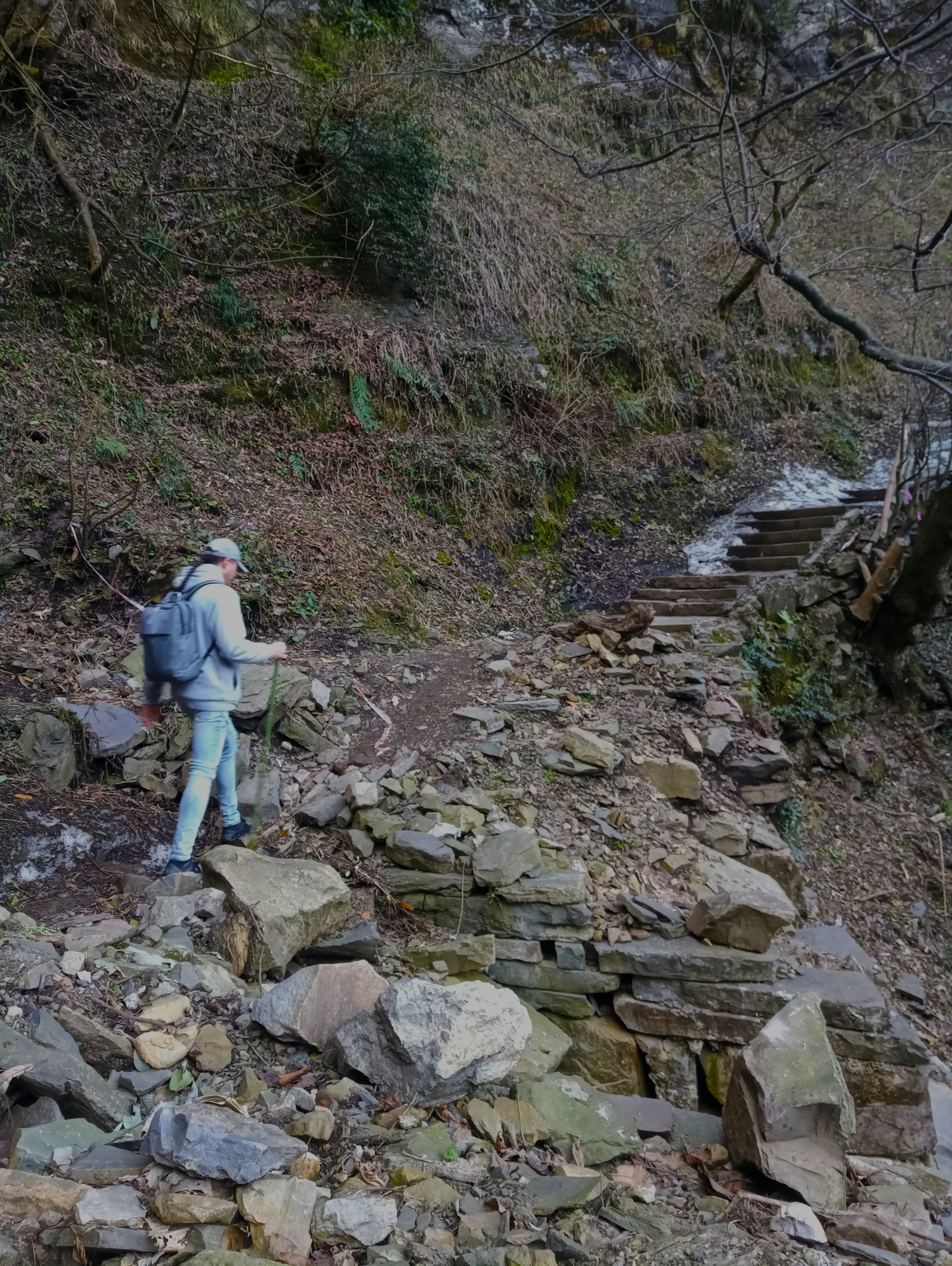 Travel in China. Sacred Mount Emeishan (Part One) - My, China, Travels, Nature, Reserve, Sichuan, UNESCO Heritage Site, Reportage, beauty, Longpost, Reserves and sanctuaries