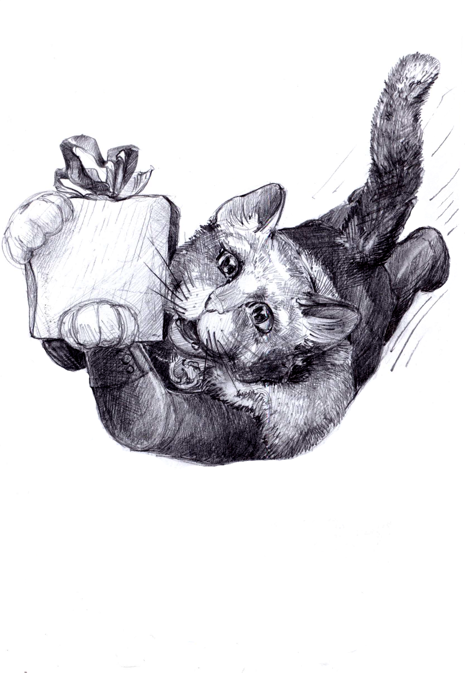 Winter cats - My, cat, Longpost, Drawing, Pencil drawing, Graphics, Anthro