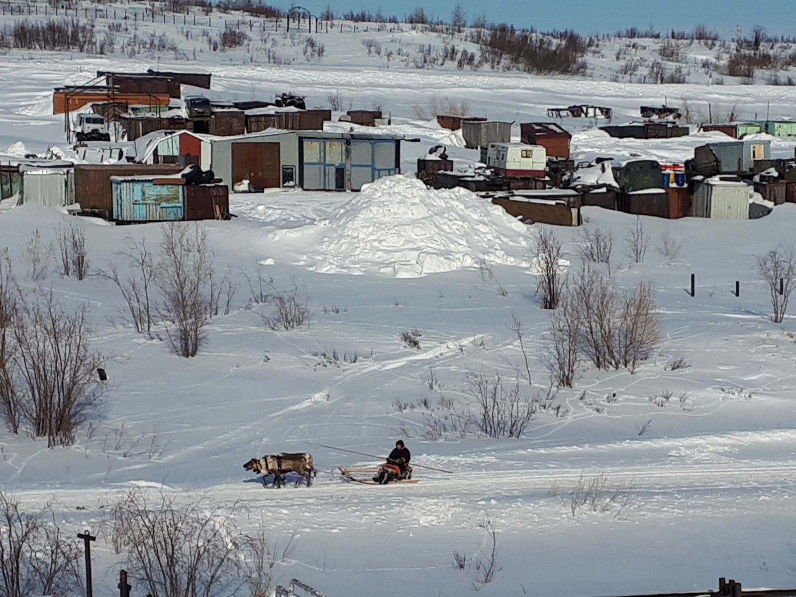 Reindeer team is racing along the railroad! - My, Taimyr, Reindeer, Sled, Dolgans, Railway, Longpost