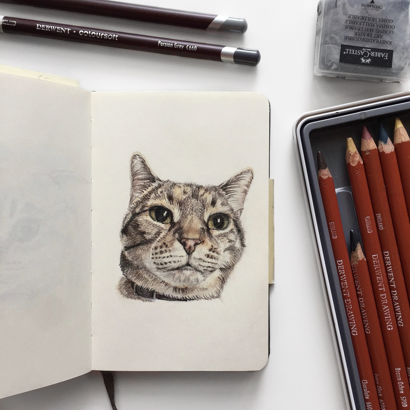 Kittens and dogs. Colour pencils. - My, cat, Dog, Portrait, Art, Longpost, Drawing, Colour pencils, Animalistics, Animals