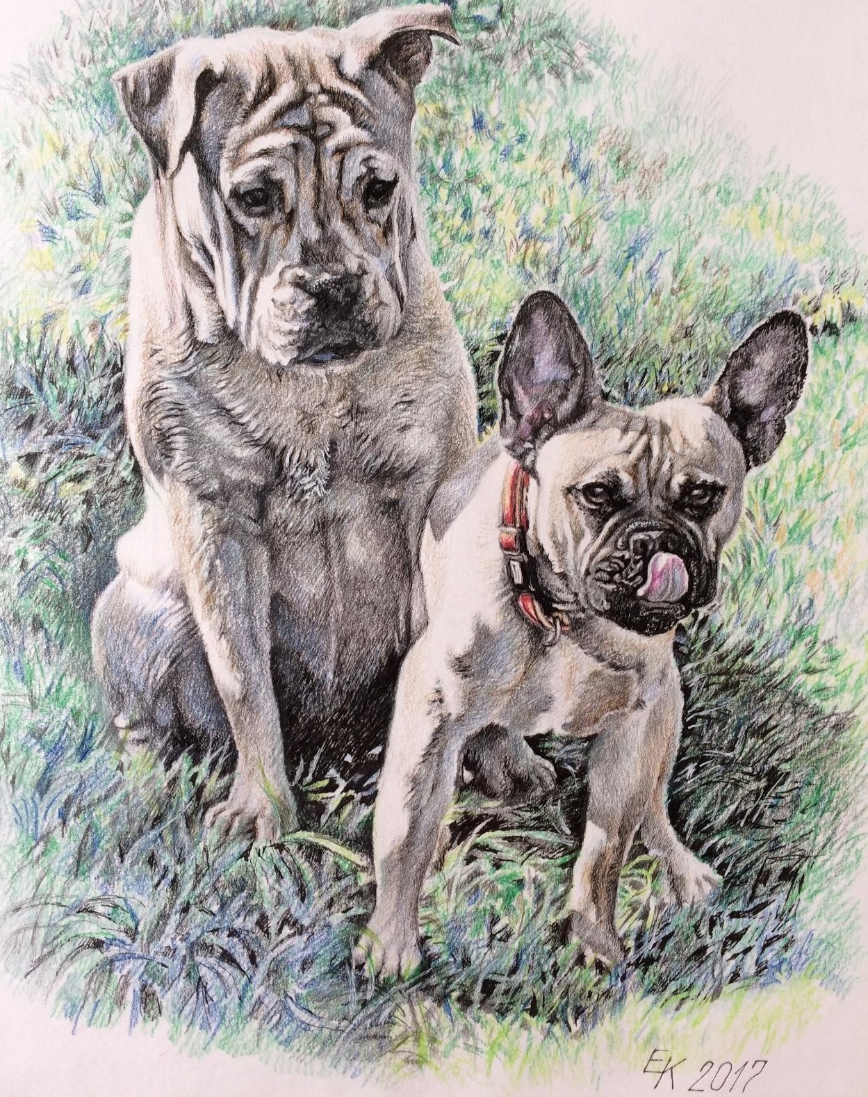 Friends. Portrait of cadebo and french bulldog. A3 format, colored pencils, liner. - My, Portrait, Friends, Dog, Drawing, Colour pencils