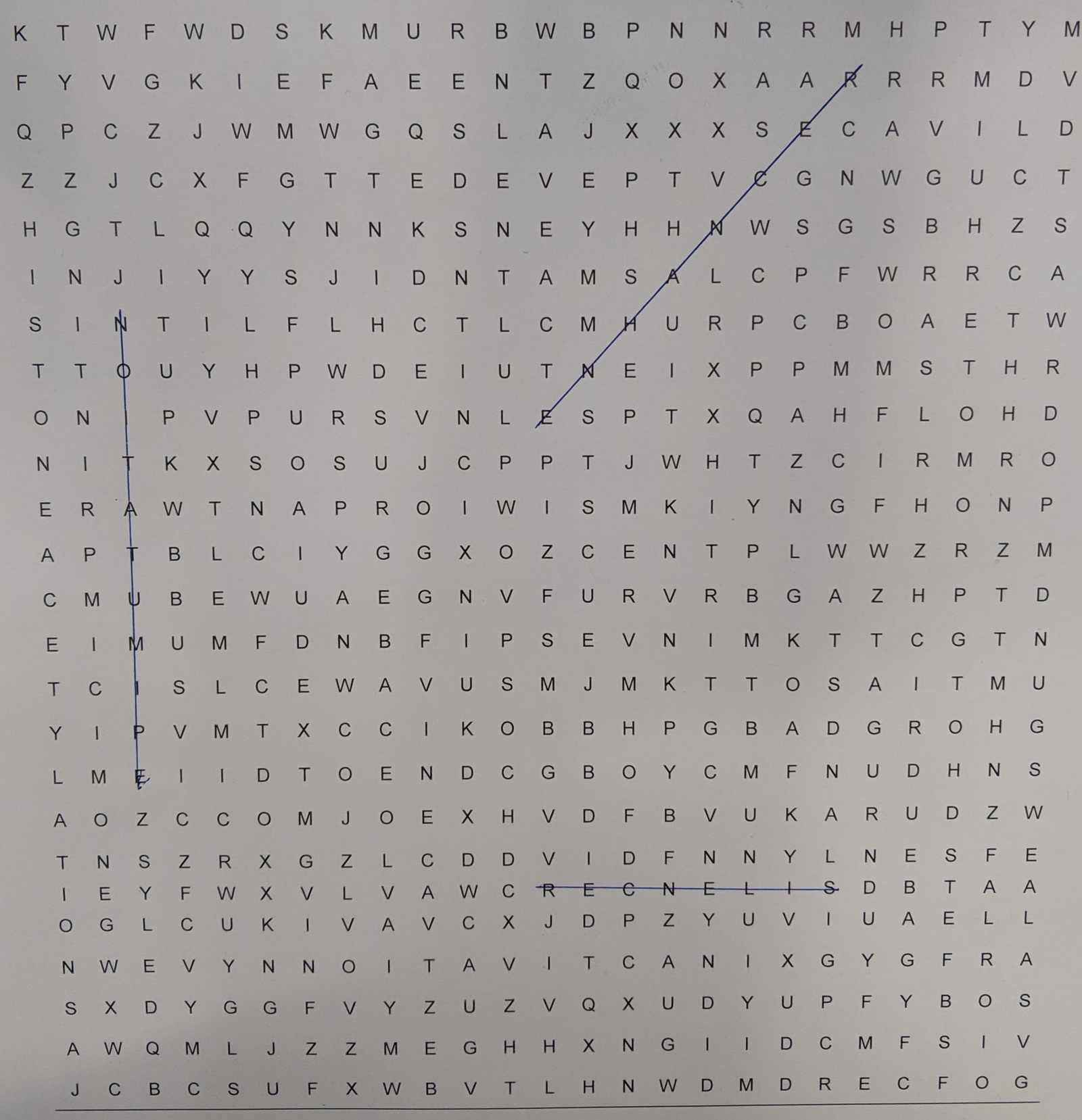 Test | Пикабу
