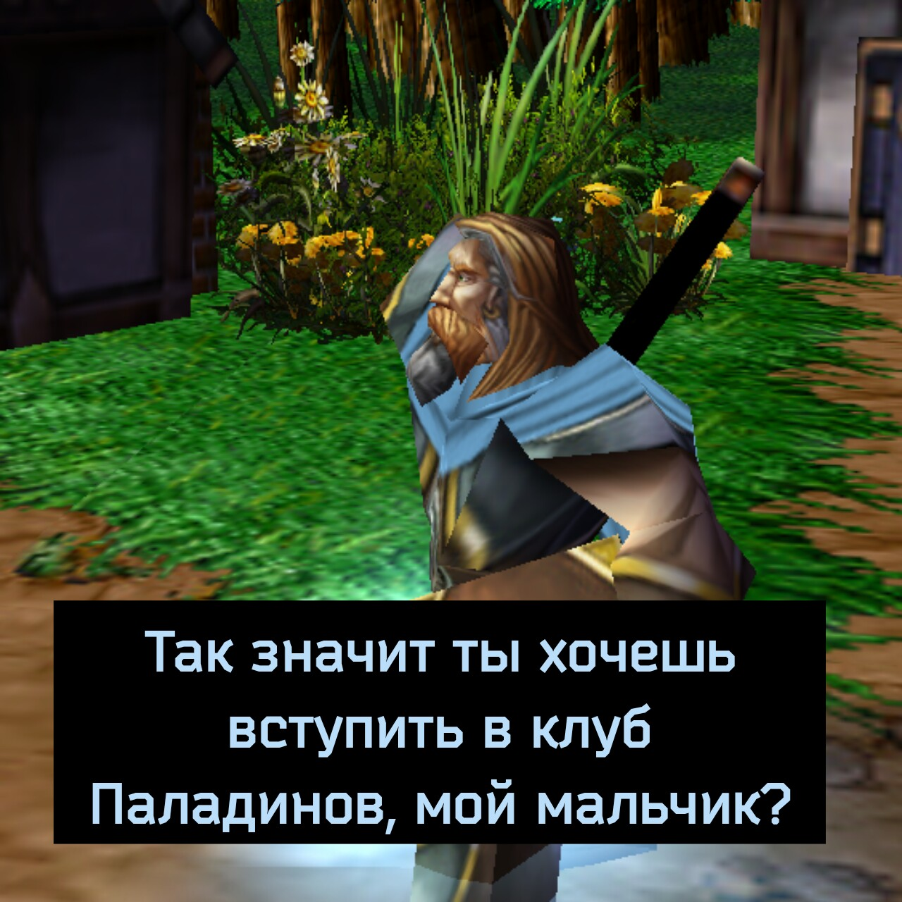 В паладины не берут кого попало! | Пикабу