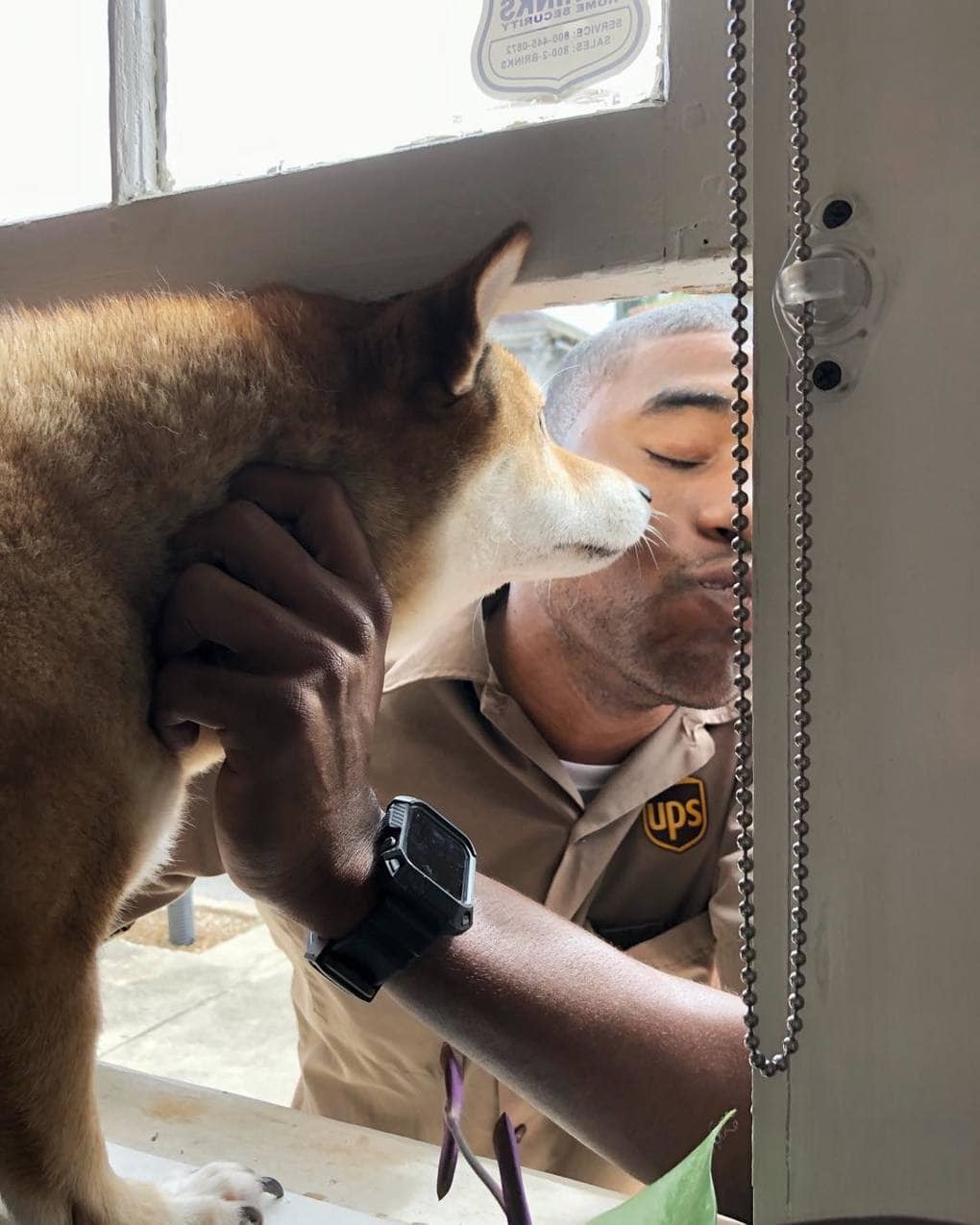 The guy works as a courier and takes pictures with clients' dogs. - Dog, Courier, The photo, Longpost, Fasting April 1, 2019, UPS