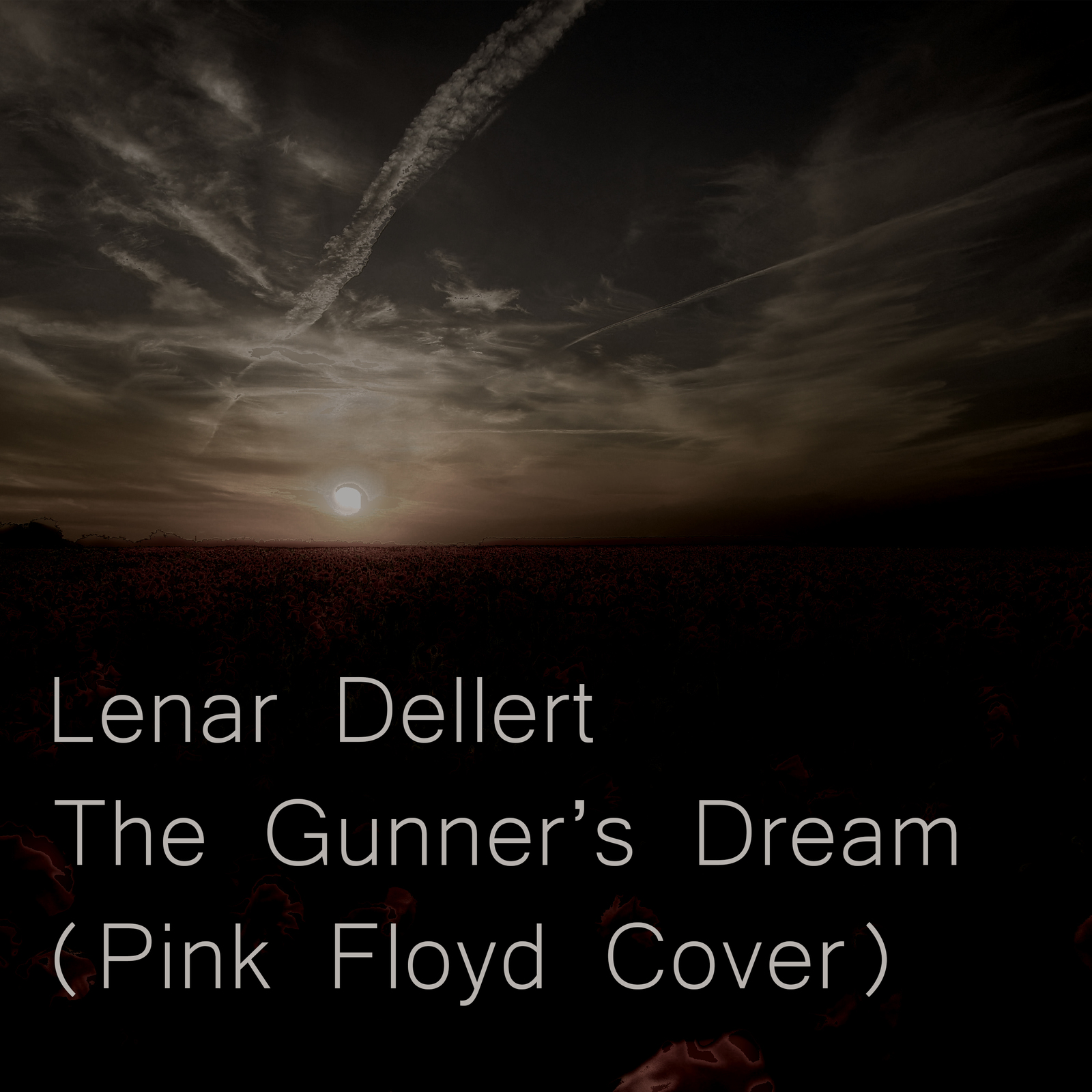 Pink Floyd Cover - The Gunner's Dream - My, Lenard Dellert, Pink floyd, Cover, Music, Rock