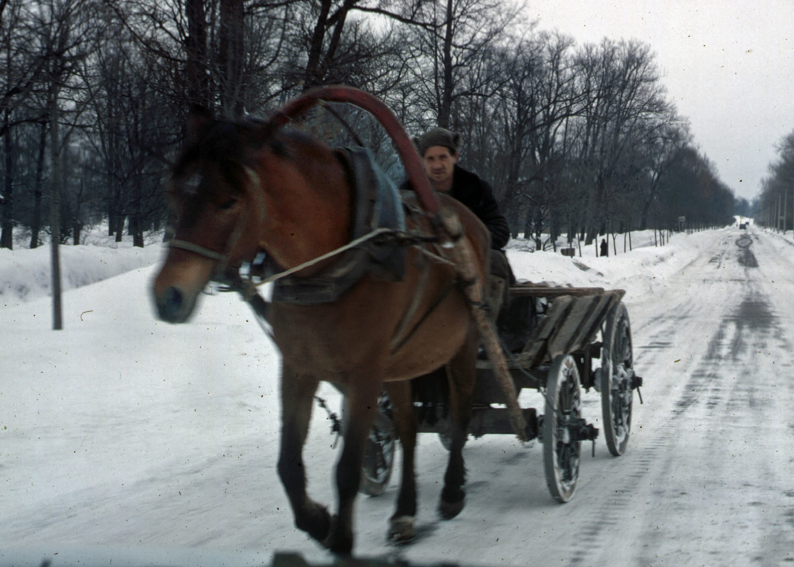 American Francis In the USSR. - the USSR, Leningrad, 1965, , The photo, Longpost