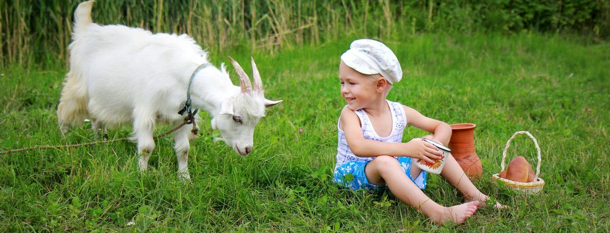 Now I would like to wake up in the morning in the village with my grandmother ... - Nostalgia, Longpost, Childhood, Village, Grandmother