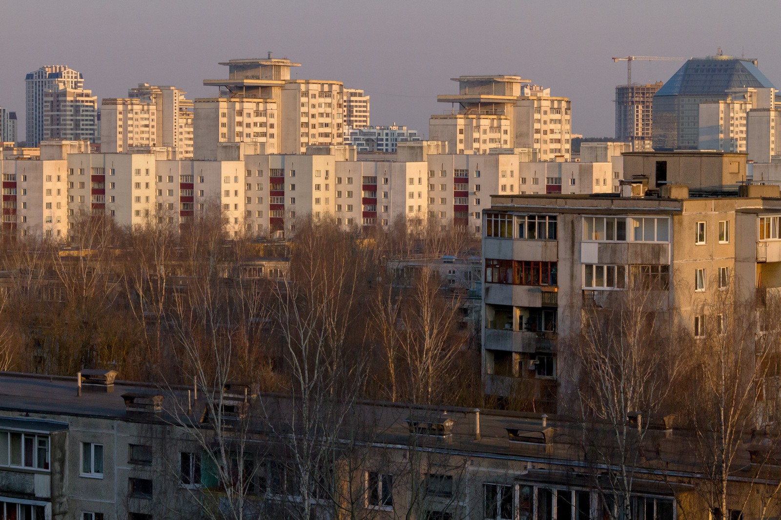 Человейник. Начало - Моё, Минск, Республика Беларусь, Фотография