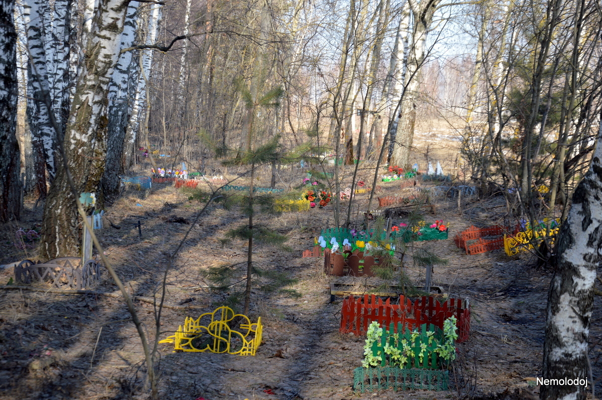 Pet cemetery - My, Pet cemetery, Dogs and people, Beginning photographer, Reflections, Longpost, Thoughts, Pets, Cemetery