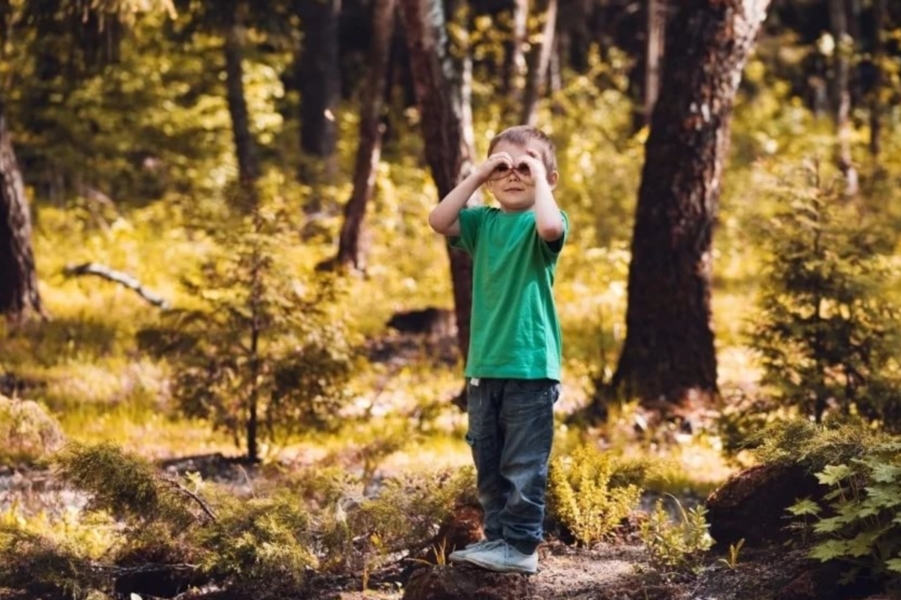 Tick ??protection for a child - My, Hike, Mite, Collar, , Children, A son