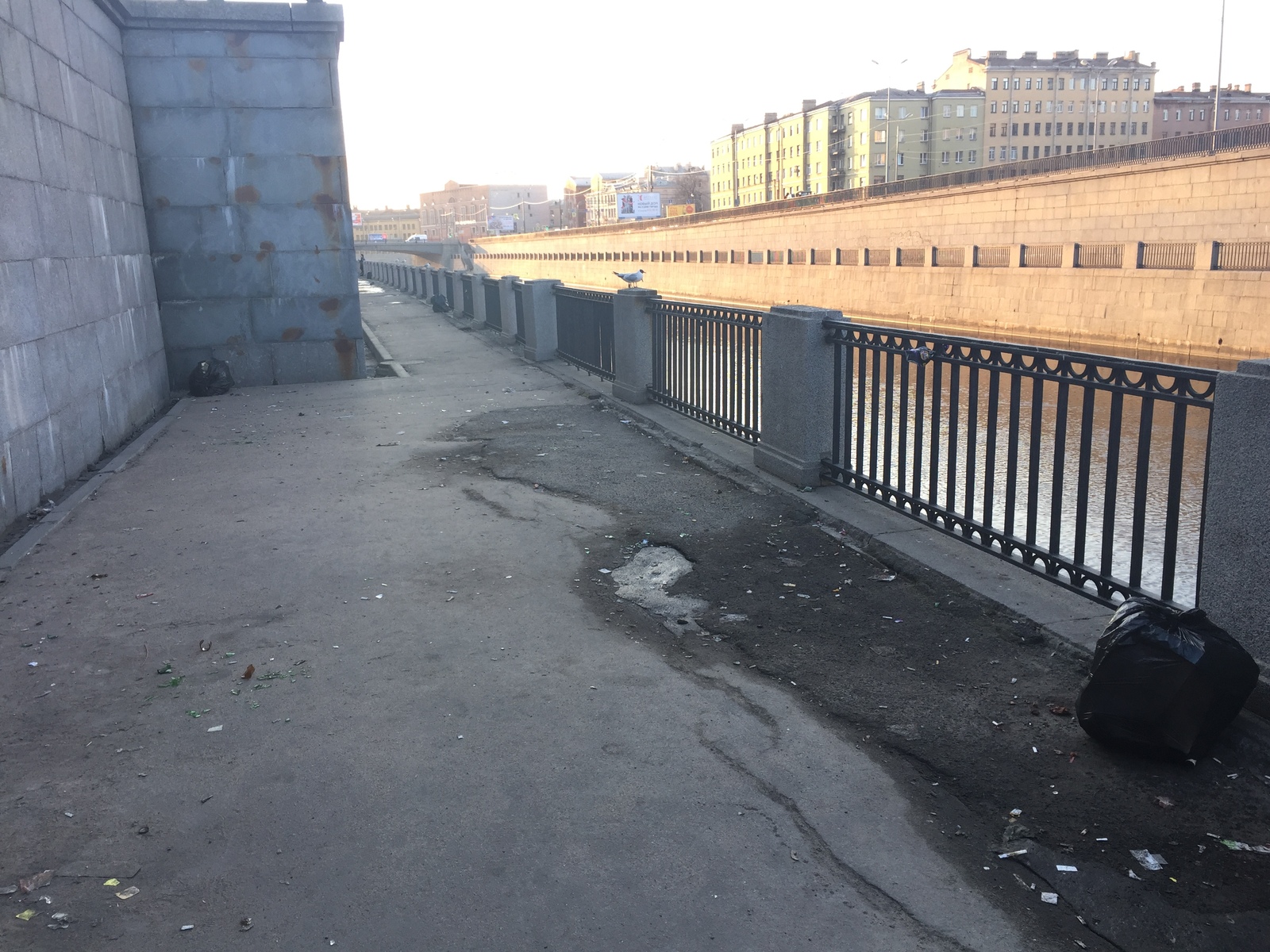 Embankment cleaning - My, Chistoman, Saint Petersburg, Cleaning, Longpost