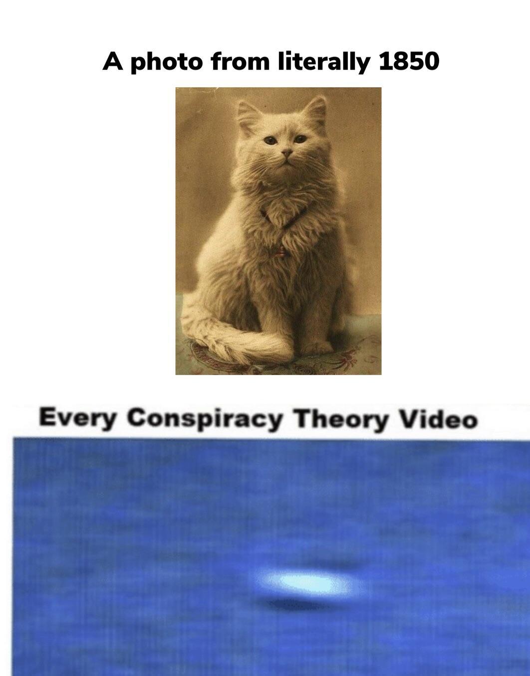 Every time someone catches a UFO on camera - cat, UFO, Conspiracy, Memes