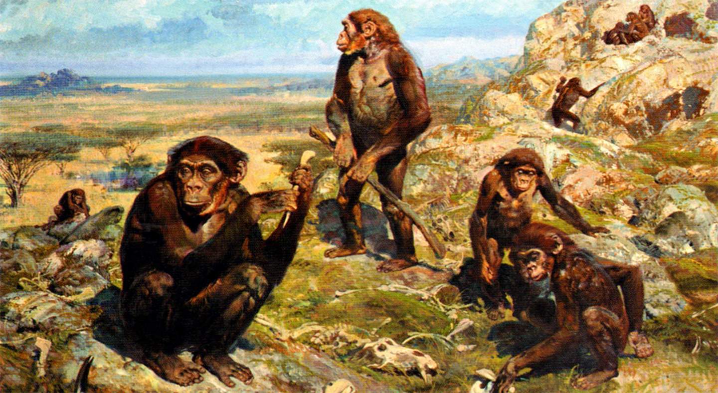 From pig to dinosaur: who our ancestors defeated in the struggle for survival - My, Longpost, Story, Evolution, Stanislav Drobyshevsky, Anthropogenesis ru