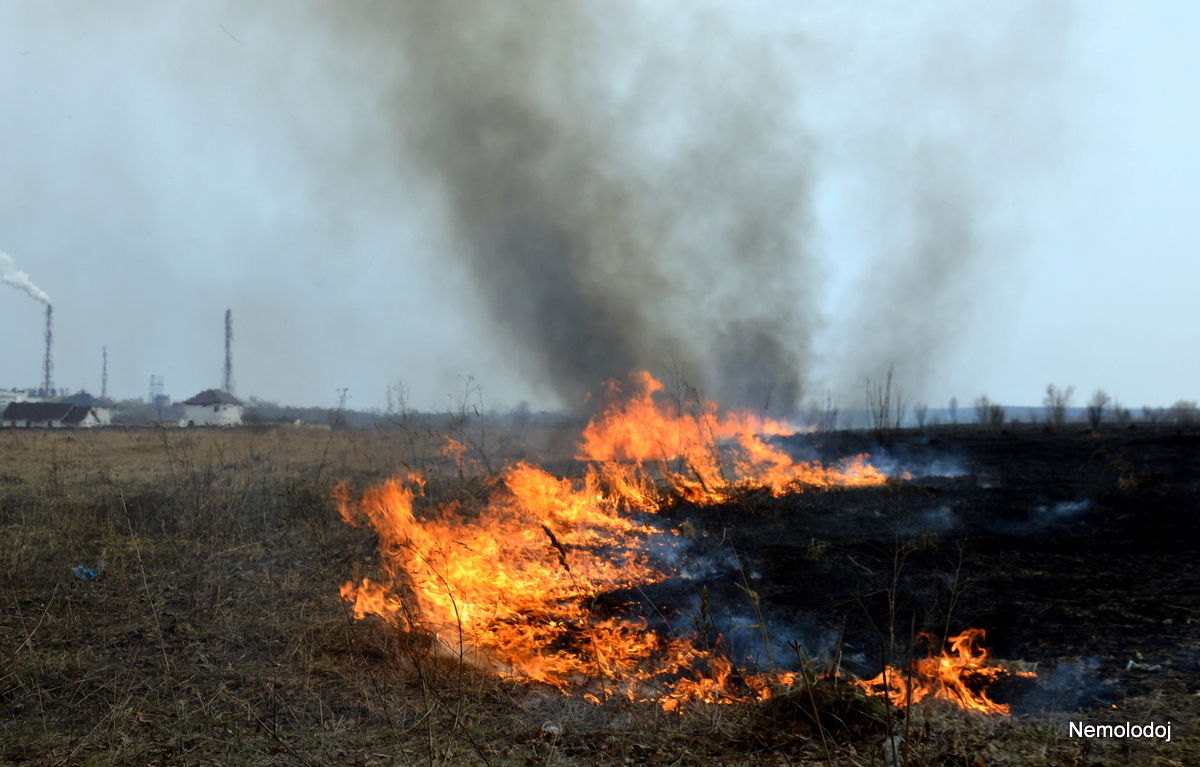 Herbal fires. Season in full swing - My, Fallen Grass, Voskresensk, Beginning photographer, Actual, Longpost