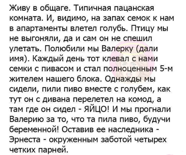 Как- то так 365... - Исследователи форумов, Скриншот, Подборка, ВКонтакте, Всякая чушь, Как-То так, Staruxa111, Длиннопост, Чушь