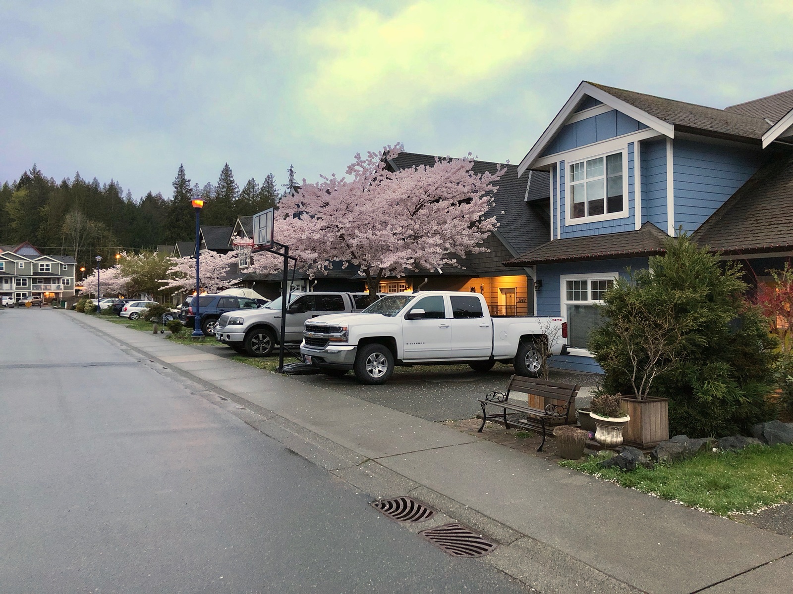 Evening walk after the rain - My, Canada, House, Road, Town, Spring, Evening, Lamp, The street, Longpost