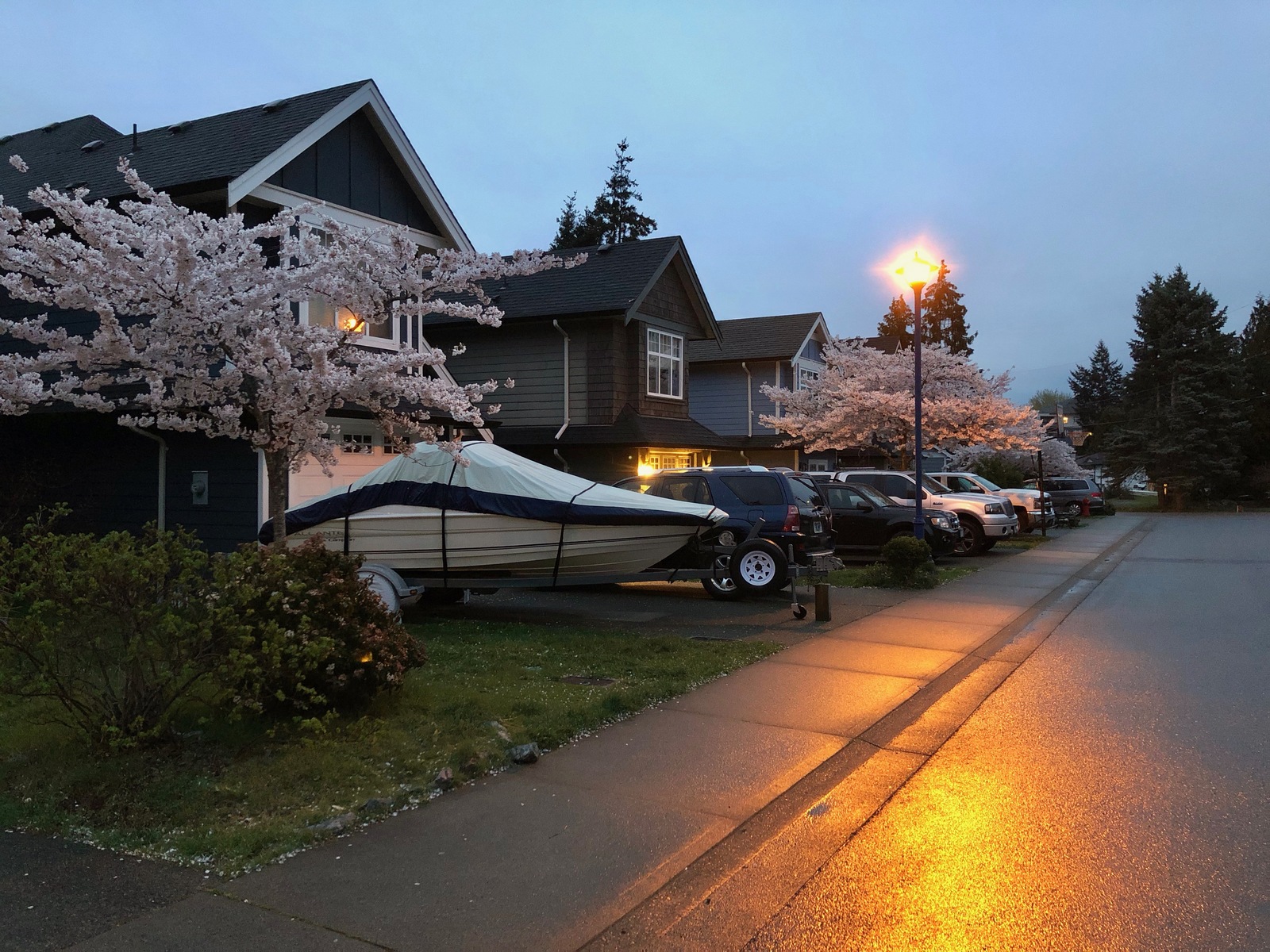 Evening walk after the rain - My, Canada, House, Road, Town, Spring, Evening, Lamp, The street, Longpost