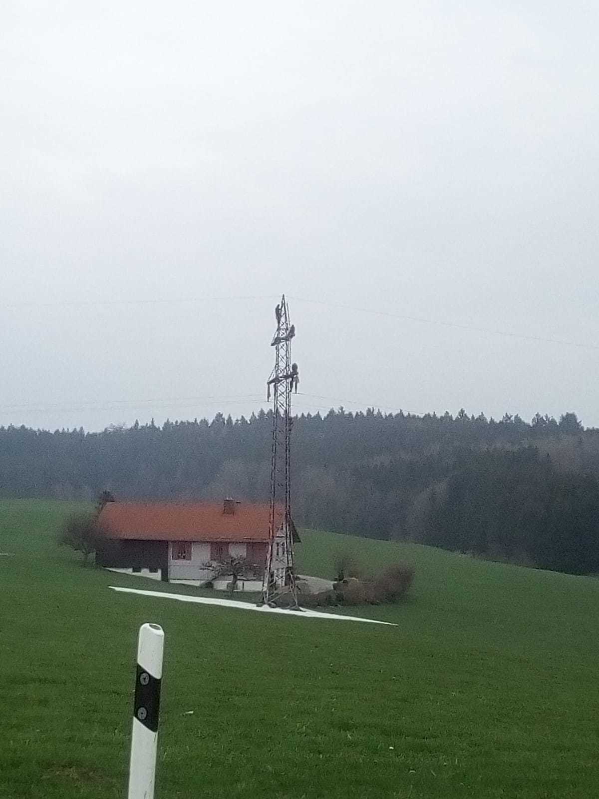 Not a man, not a bird. - My, Germans, Электрик, Birds, Longpost