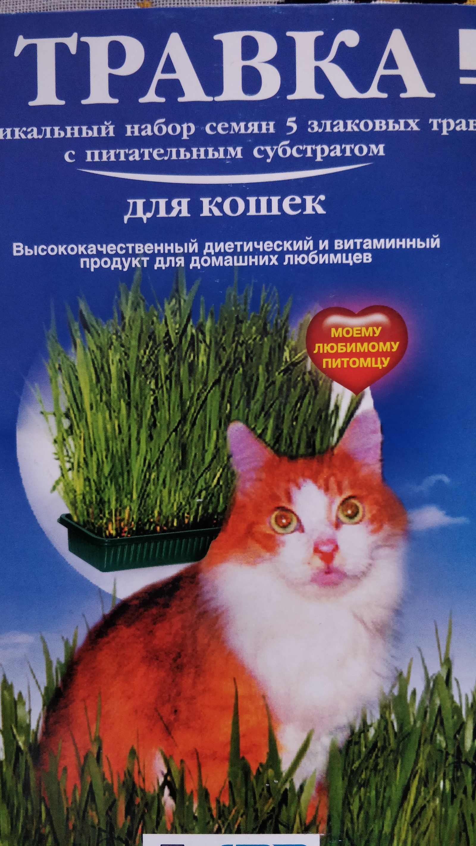 grass for cats - My, Catomafia, Animals, Design, Longpost, cat