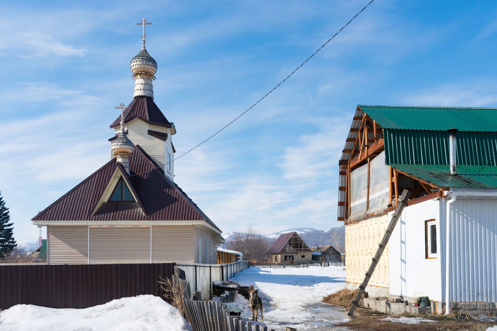 Notes of an adventurer: Gorny Altai. #5 - My, Mountain Altai, Ust-Koksa, Travels, Story, Infrastructure, Dog, Kindness, Longpost, Altai Republic