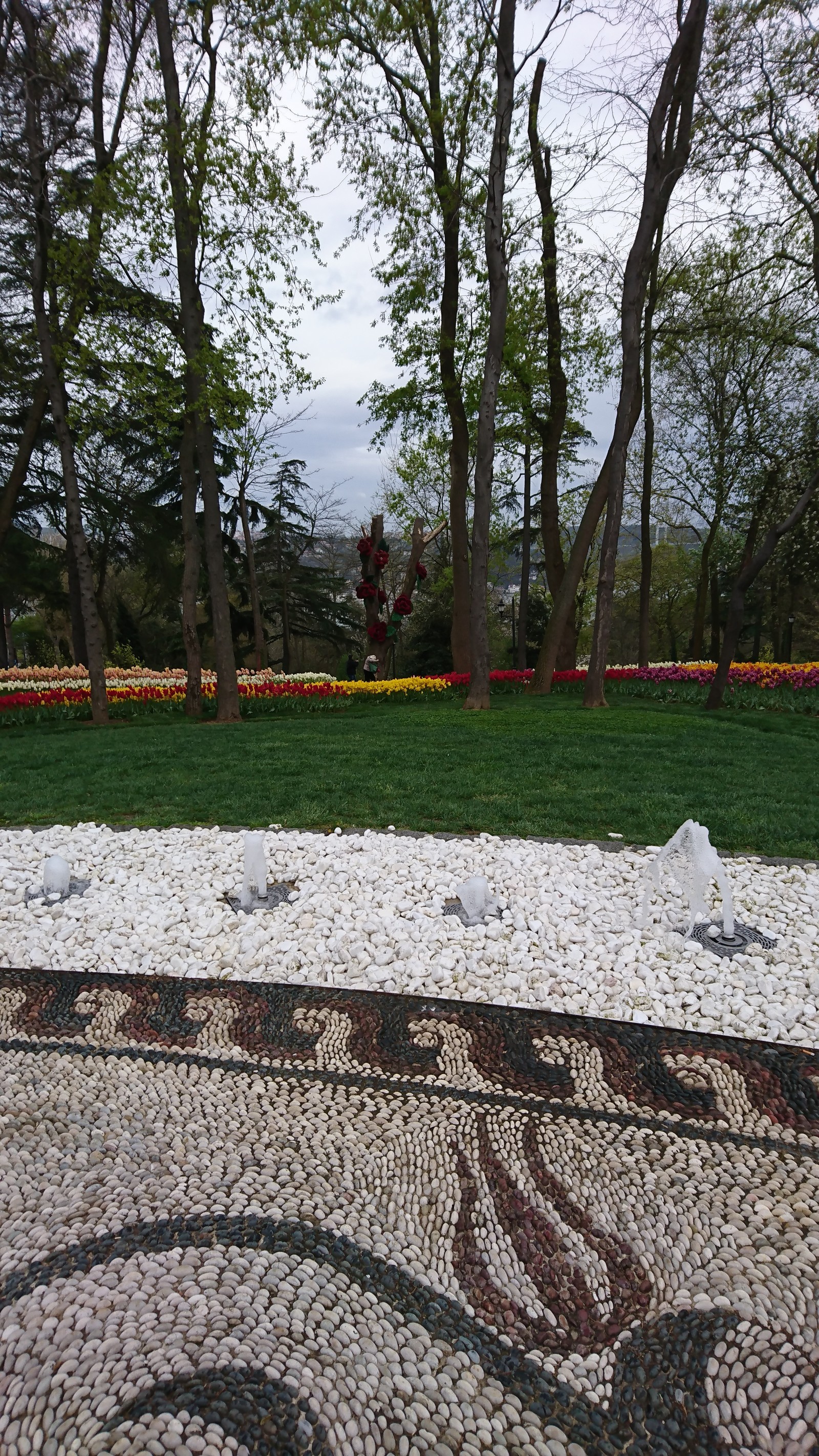 Tulip park, Istanbul. - Turkey, Travels, Longpost