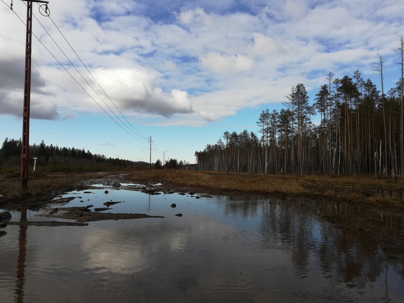 Landscapes of the Leningrad region and outdoor activities. On Saturday I went quad biking with my friends. Photos without processing. - My, Leningrad region, The photo, Leisure, Longpost, Landscape