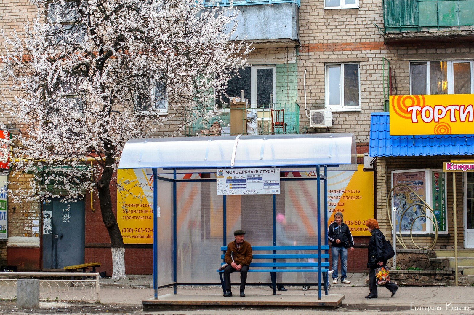 apricot color - Apricot, Bloom, Kramatorsk, Longpost