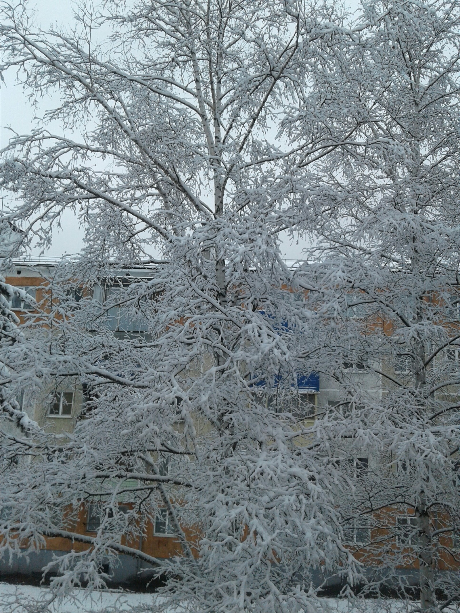 About the weather. - My, Snow, Siberia, First post, Longpost