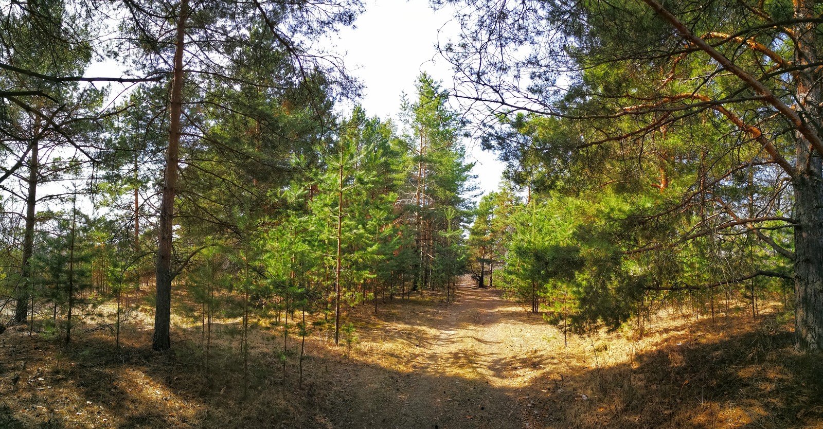 photo ride - My, Dzerzhinsk, Mobile photography, The photo, Video, Longpost, Huawei mate 9, A bike