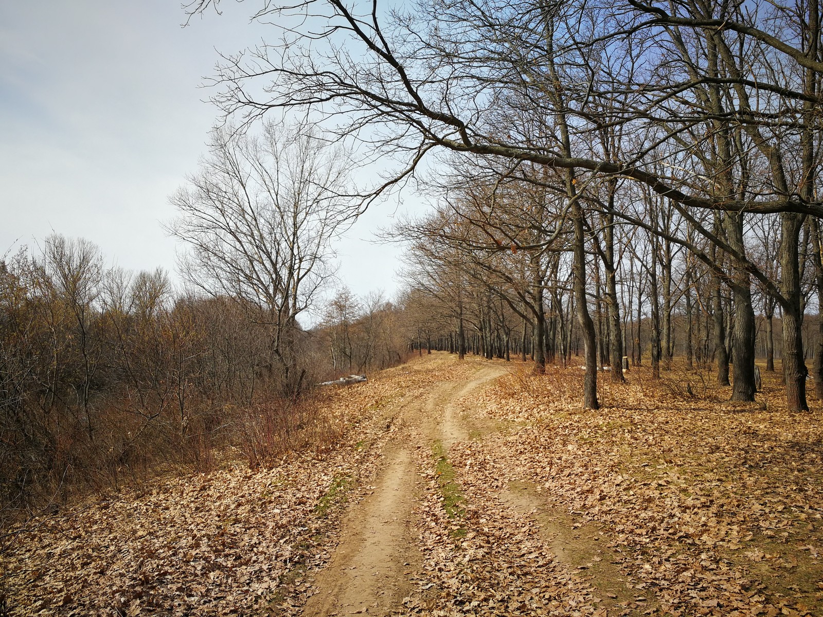 photo ride - My, Dzerzhinsk, Mobile photography, The photo, Video, Longpost, Huawei mate 9, A bike