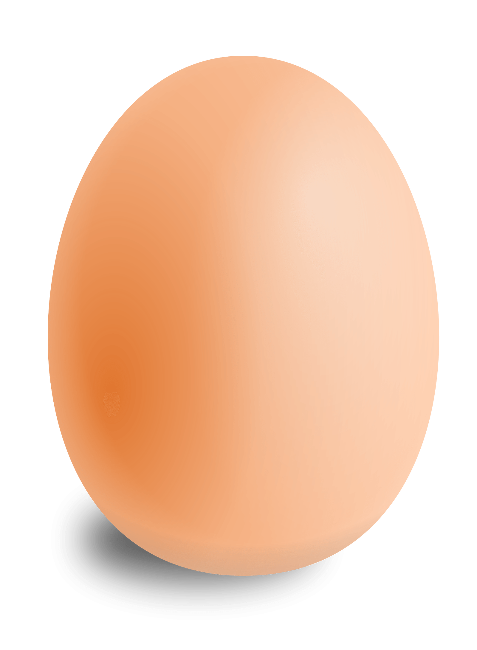 This is what a chicken egg looks like - Eggs, Egg