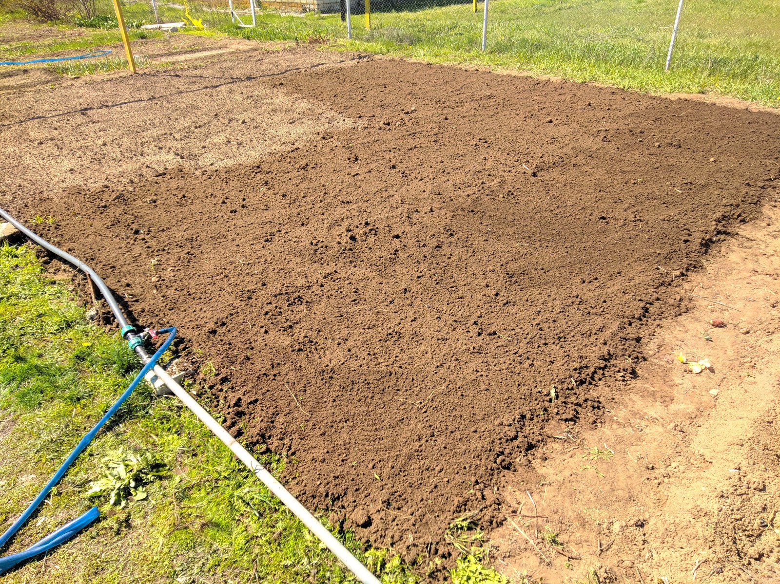 My garden. - My, Garden, , Digging vegetable gardens, Saturday, Red button