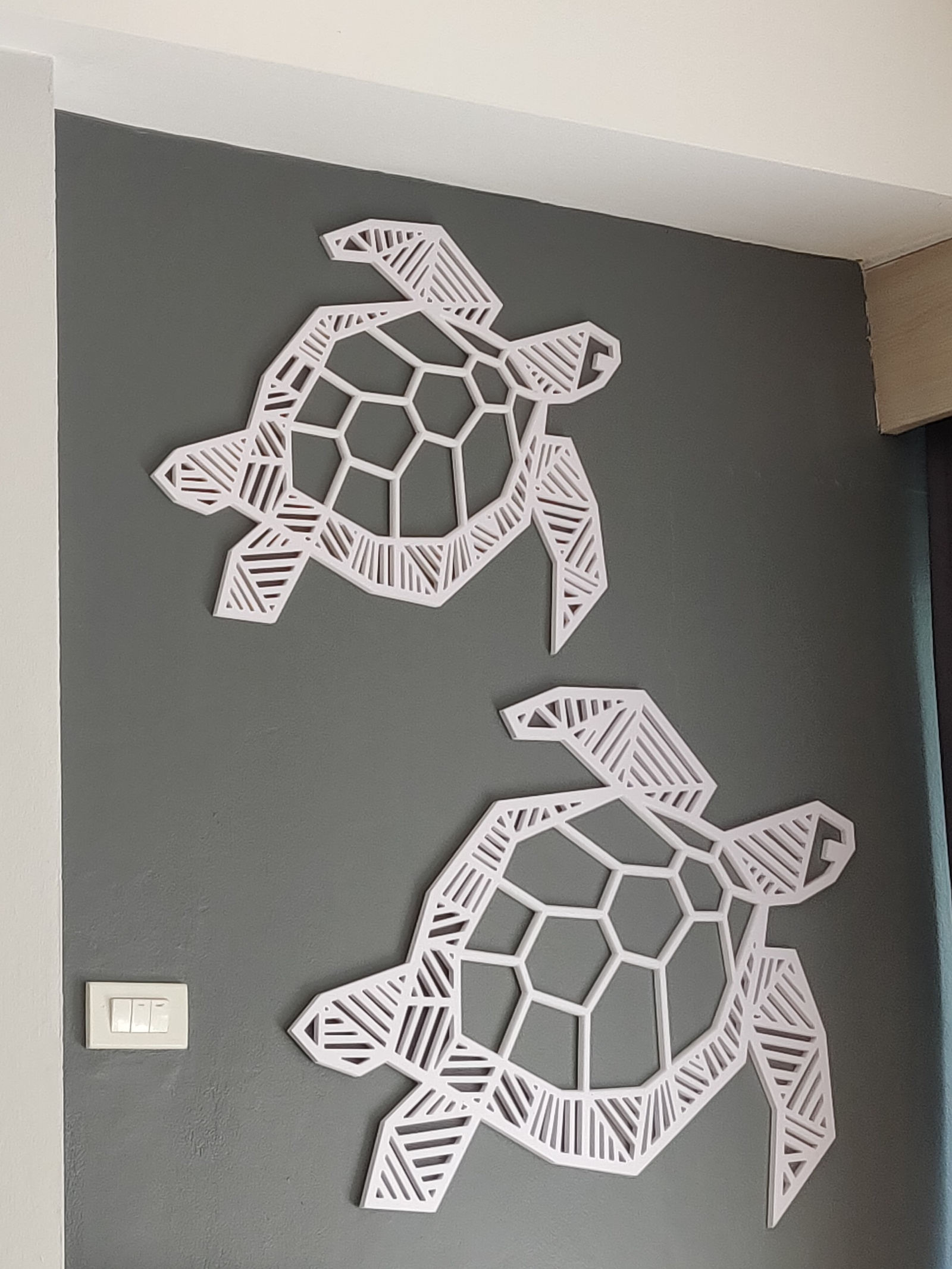 Turtles on the wall - Turtle, Wall, Decoration