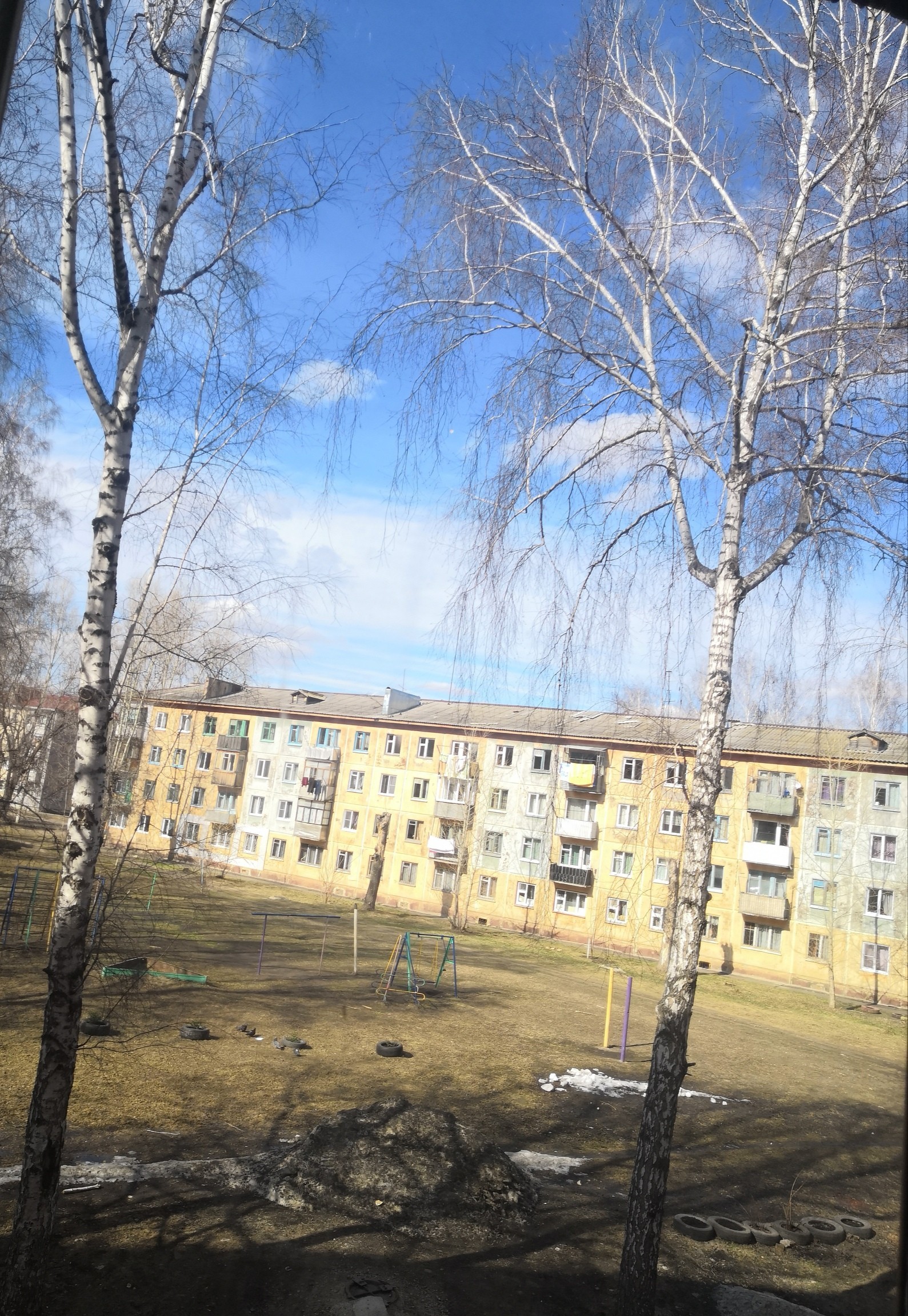 View from the window - My, View, Window, Spring, Birch, Riot