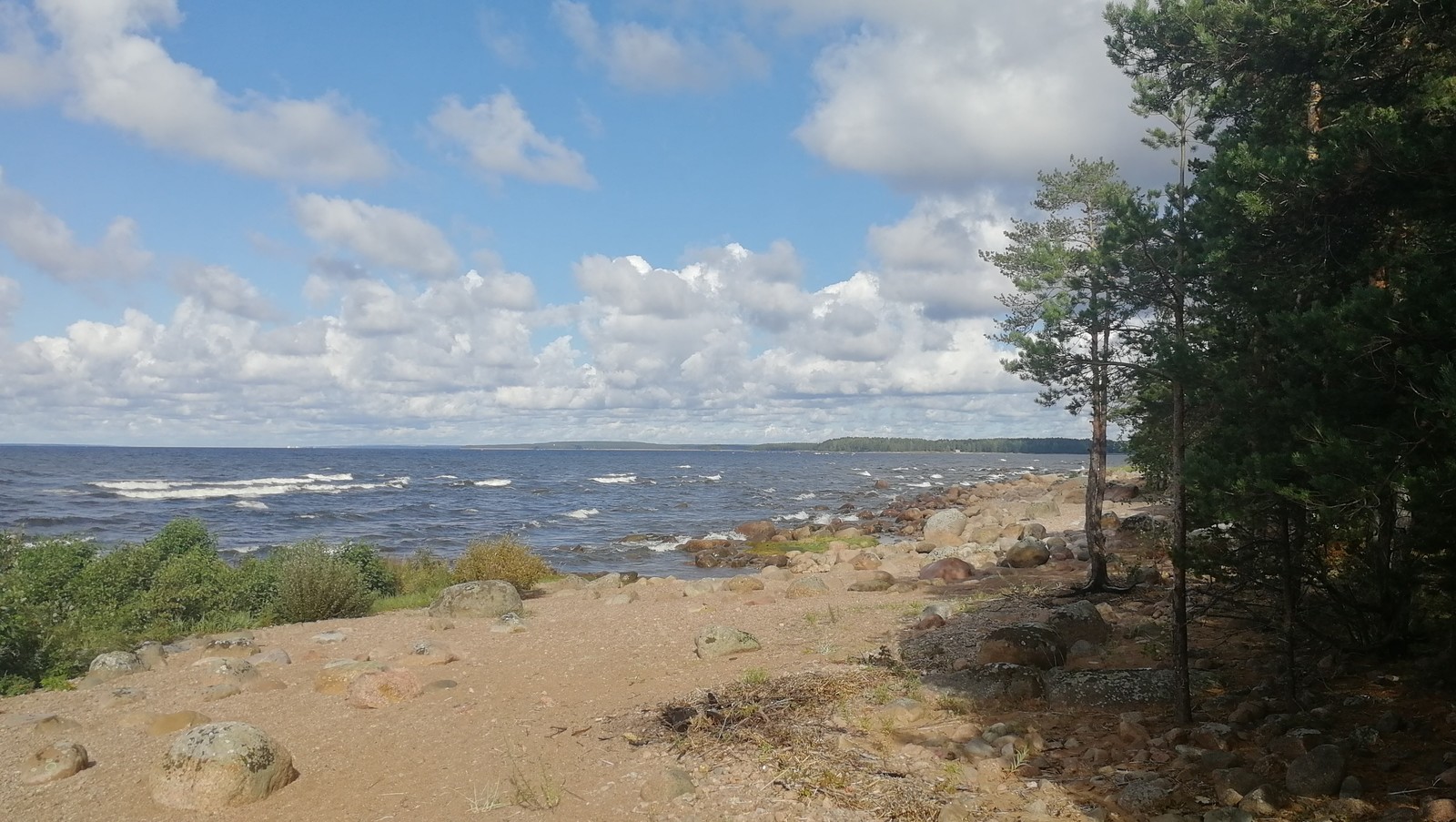 Leningrad region - My, Nature, Water, Shore