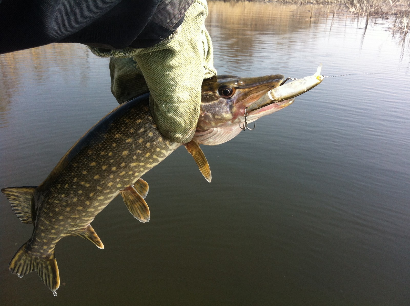 Opening of the water-motor-fishing season - My, community of anglers, Positive, Fishing, Longpost, Fishermen