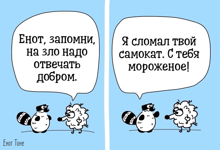 Пара из Петербурга рисует комиксы о ленивом еноте, который чем-то похож на каждого из нас - Адмеру, Картинка с текстом, Юмор, Длиннопост