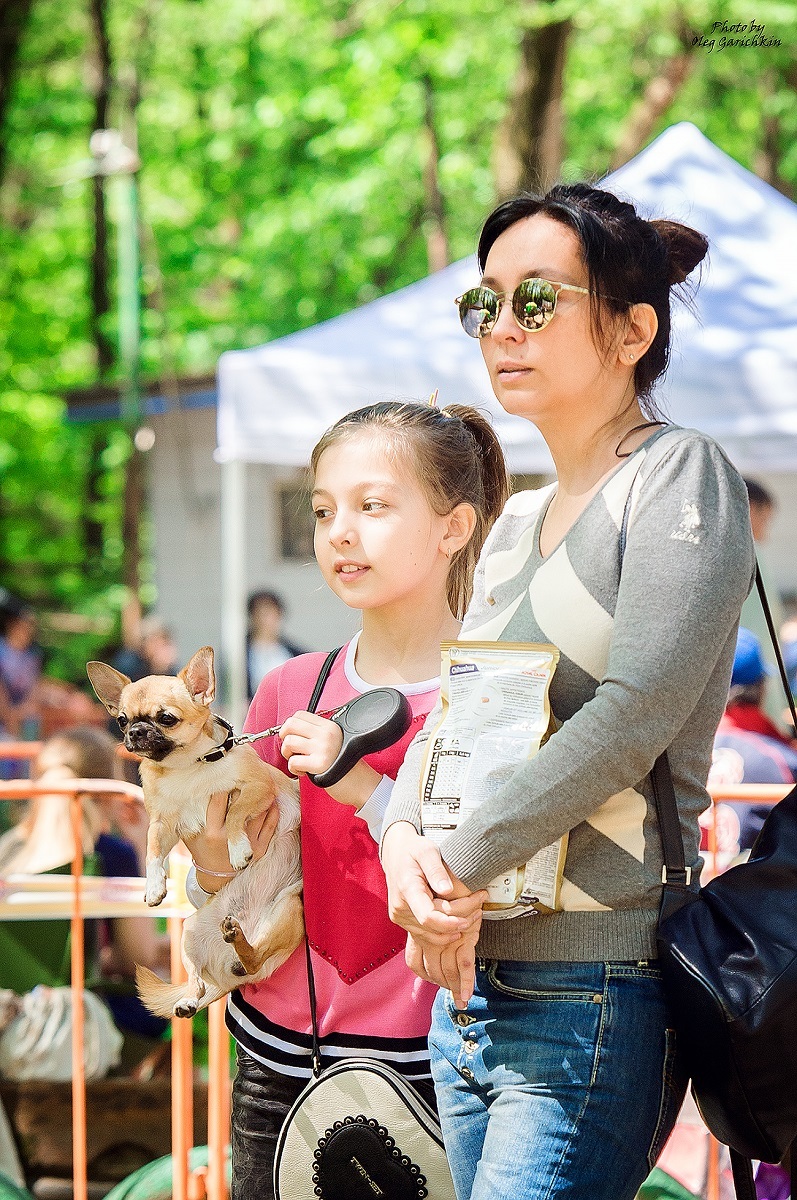 I continue to publish reportage pictures from dog shows held in the South of Russia in 2018, enjoy watching))) - My, Dog, Dogs and people, Dog show, Animalistics, Dog lovers, Dog days, dog's heart, Longpost