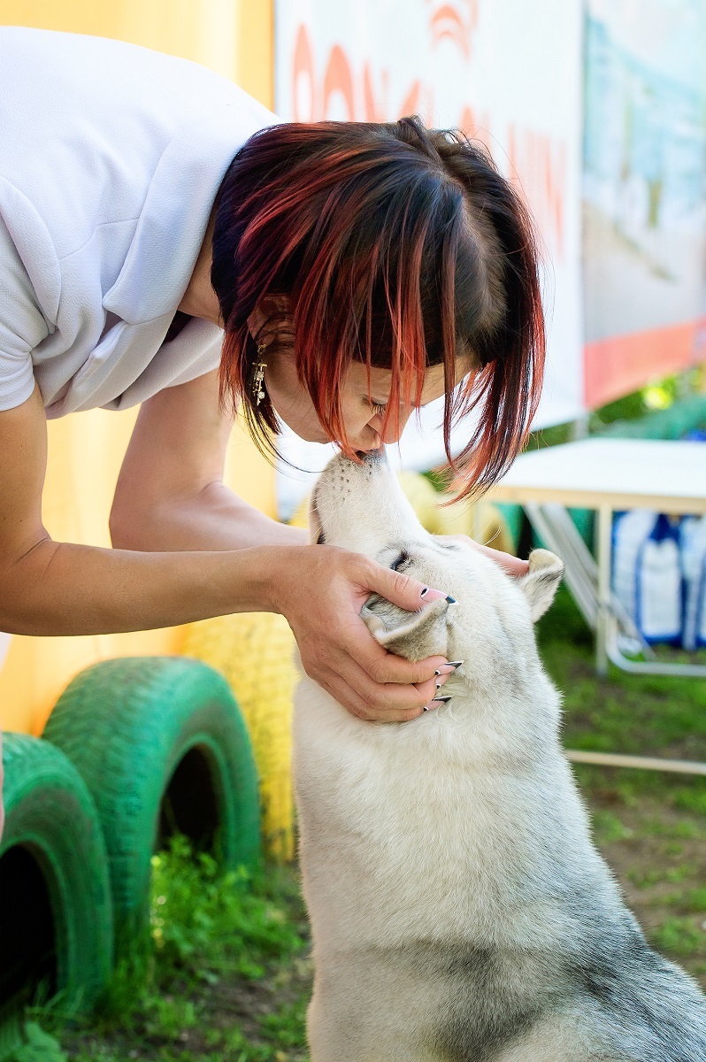 Another series of reportage pictures from dog shows that took place in the South of Russia in 2018, pleasant viewing))) - My, Dog, Dogs and people, Dog lovers, Dog days, Dog show, Longpost